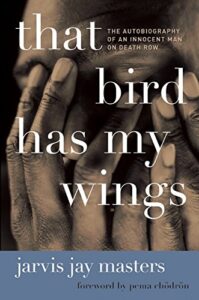 That Bird Has My Wings book cover