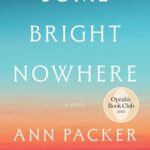 Some Bright Nowhere book cover