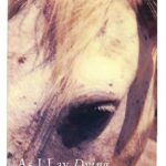 As I Lay Dying book cover