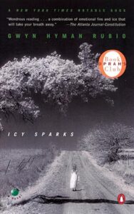 Icy Sparks book cover