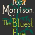 The Bluest Eye book cover