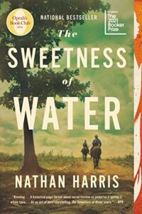 The Sweetness of Water book cover