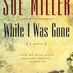 While I Was Gone book cover