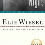 Night book cover