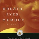 Breath, Eyes, Memory book cover