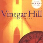 Vinegar Hill book cover