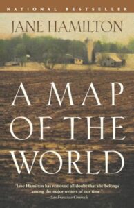 A Map of the World book cover