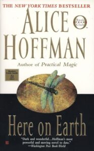 Here on Earth book cover