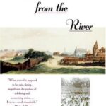 Stones from the River book cover