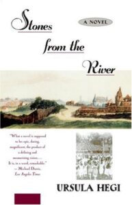 Stones from the River book cover