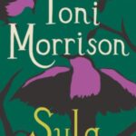 Sula book cover
