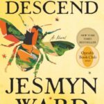 Let Us Descend book cover