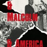 Cover of Martin & Malcolm & America
