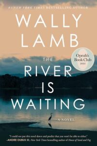 The River Is Waiting book cover
