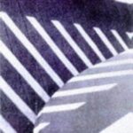 Cover of The Journalist and the Murderer by Janet Malcolm