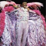 Cover of Liberace by Darden Asbury Pyron