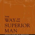 Cover of The Way of the Superior Man by David Deida
