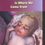 Book cover: The Afterlife Is Where We Come From by Alma Gottlieb