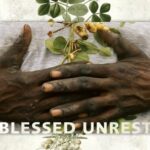 Book cover of Blessed Unrest by Paul Hawken