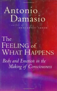Book cover of The Feeling of What Happens by Antonio Damasio