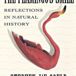 Book cover of The Flamingo’s Smile by Stephen Jay Gould