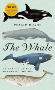 Book cover of The Whale by Philip Hoare