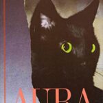 Cover of Aura