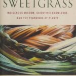 Cover of Braiding Sweetgrass