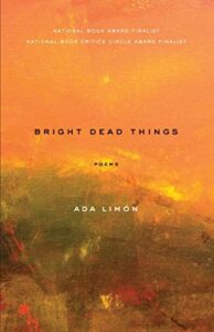 Cover of Bright Dead Things