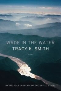 Cover of Wade in the Water
